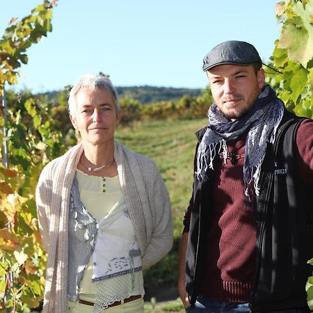 Sylvie Fahrer Et Fils Bed & Breakfast Saint-Hippolyte  Eksteriør bilde