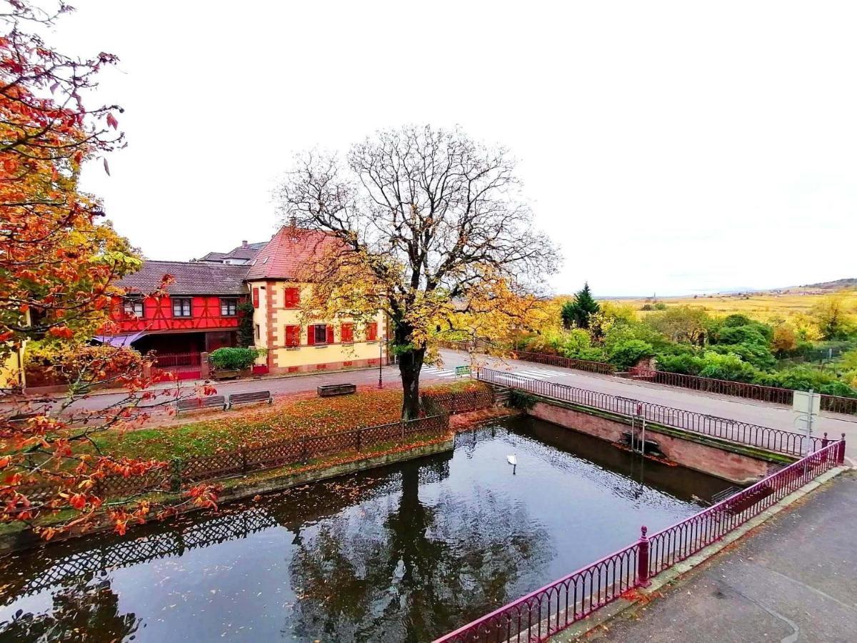 Sylvie Fahrer Et Fils Bed & Breakfast Saint-Hippolyte  Eksteriør bilde